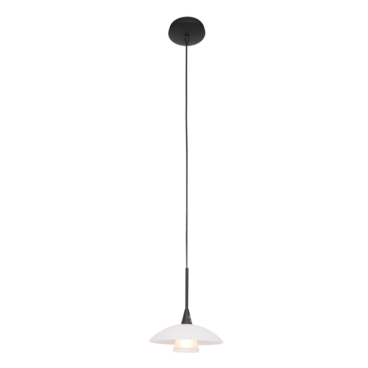 Steinhauer Hanglamp Tallerken Zwart