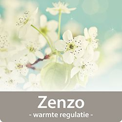 Dekbed Zenzo Safier 240x220