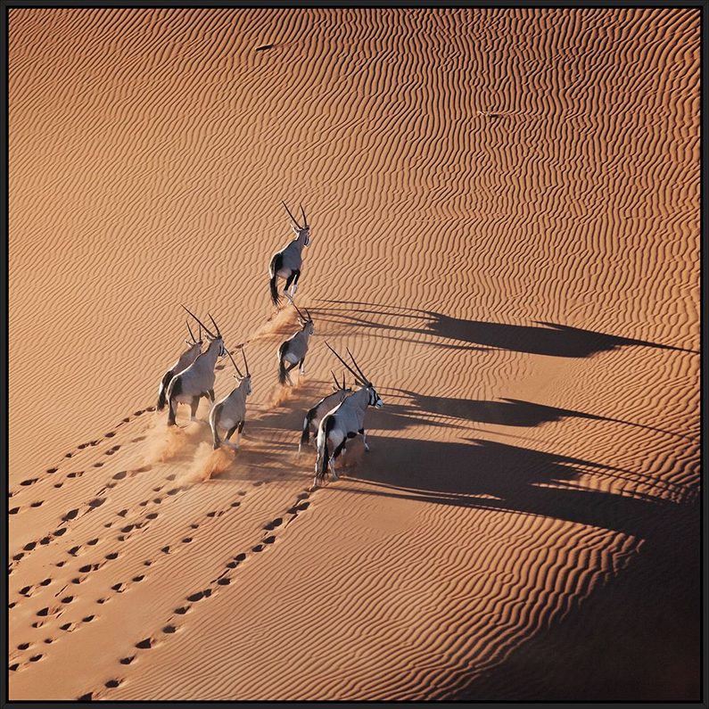 Mondiart Schilderij On Tour