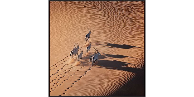 Mondiart Schilderij On Tour