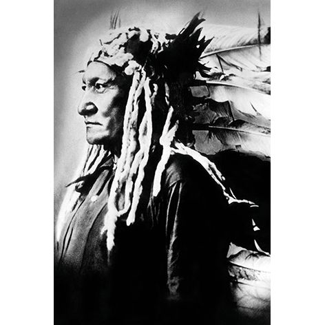 Native American Sioux Chief
