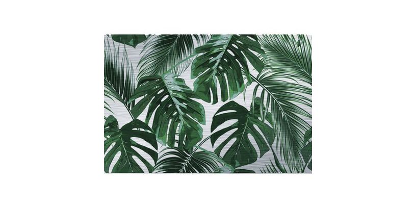 Tropical Palm Leaves