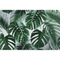 Tropical Palm Leaves
