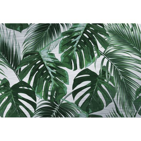 Tropical Palm Leaves