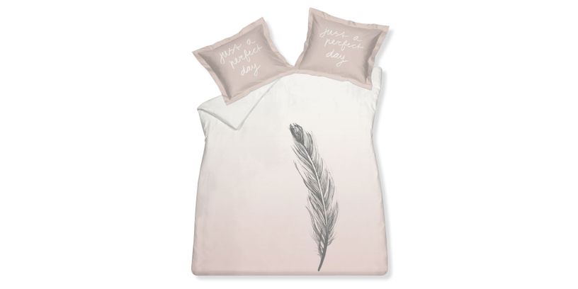 Dekbedovertrek Flying Feather Powder 240 x 220