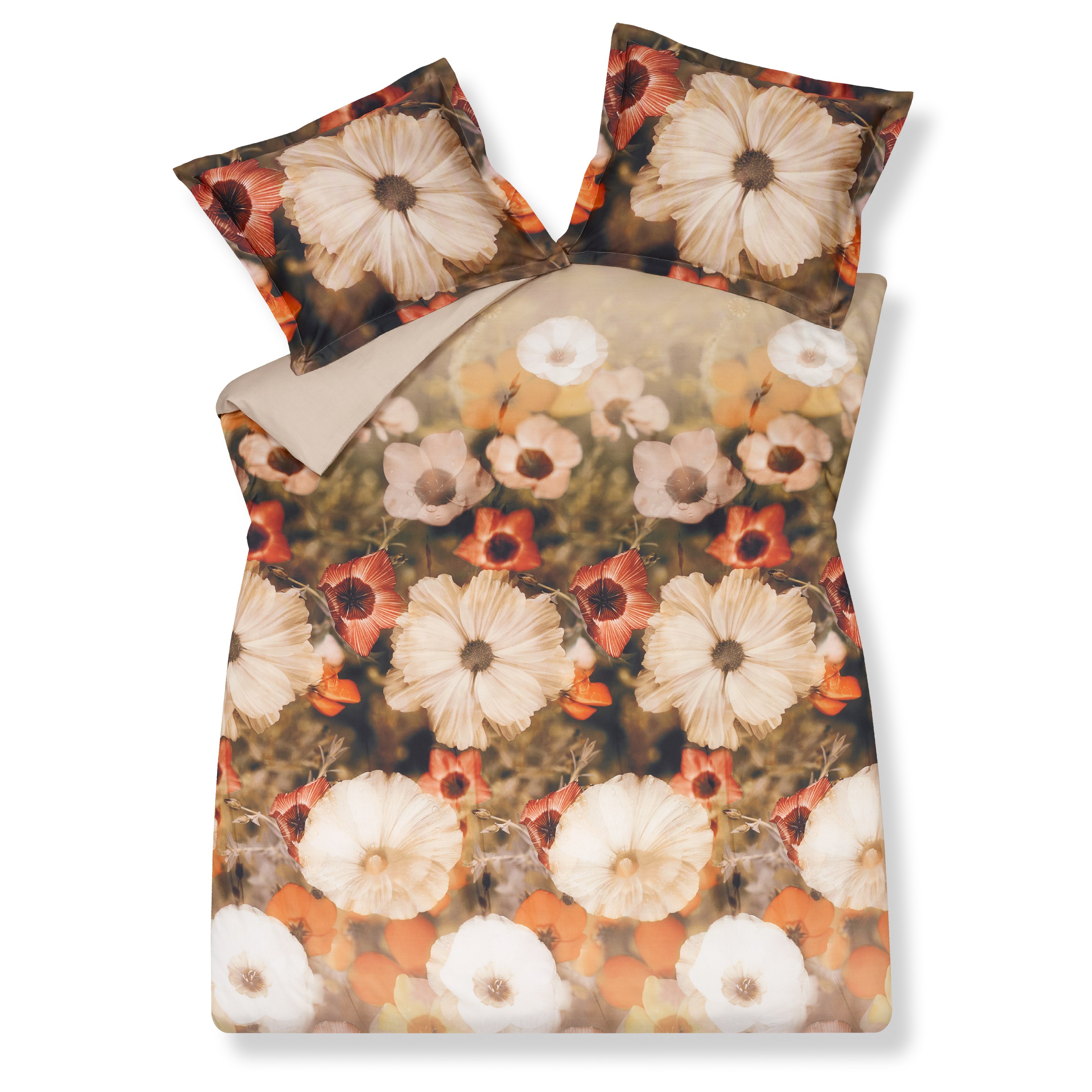 Vandyck dbo Shining 140x220