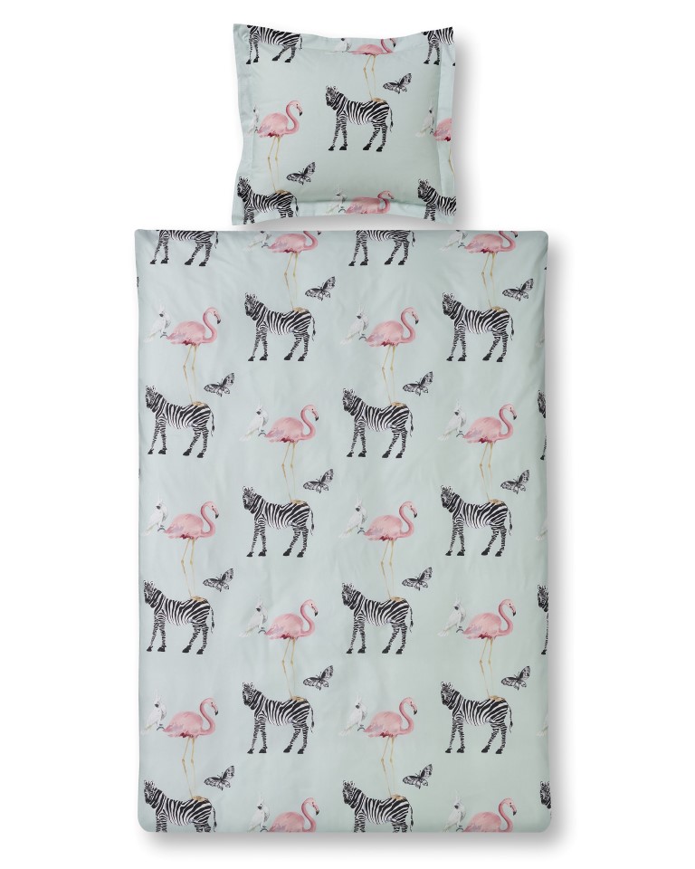 Vandyck Dbo Zebra Kids Blue 140/220