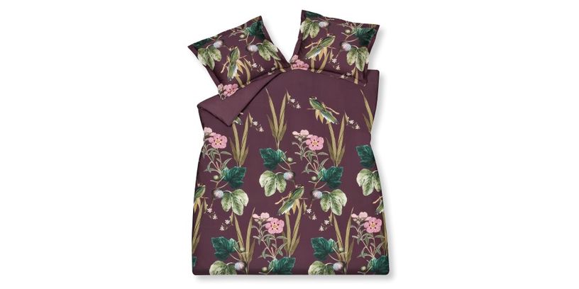 Vandyck DBO Maple Leaf Cabernet 140x200/220