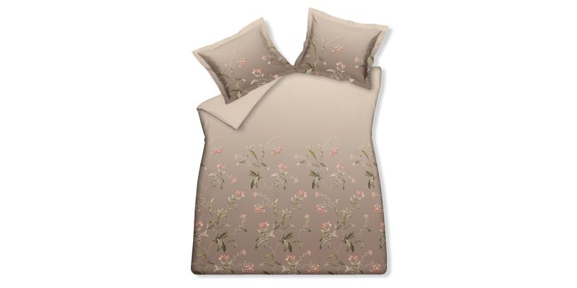 Vandyck DBO Goodmorning Fudge 240x200/220