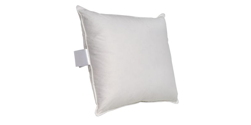 Hoofdkussen Eendeveren