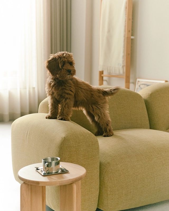 Bekijk alle design banken | Weyts Interieur Poortvliet