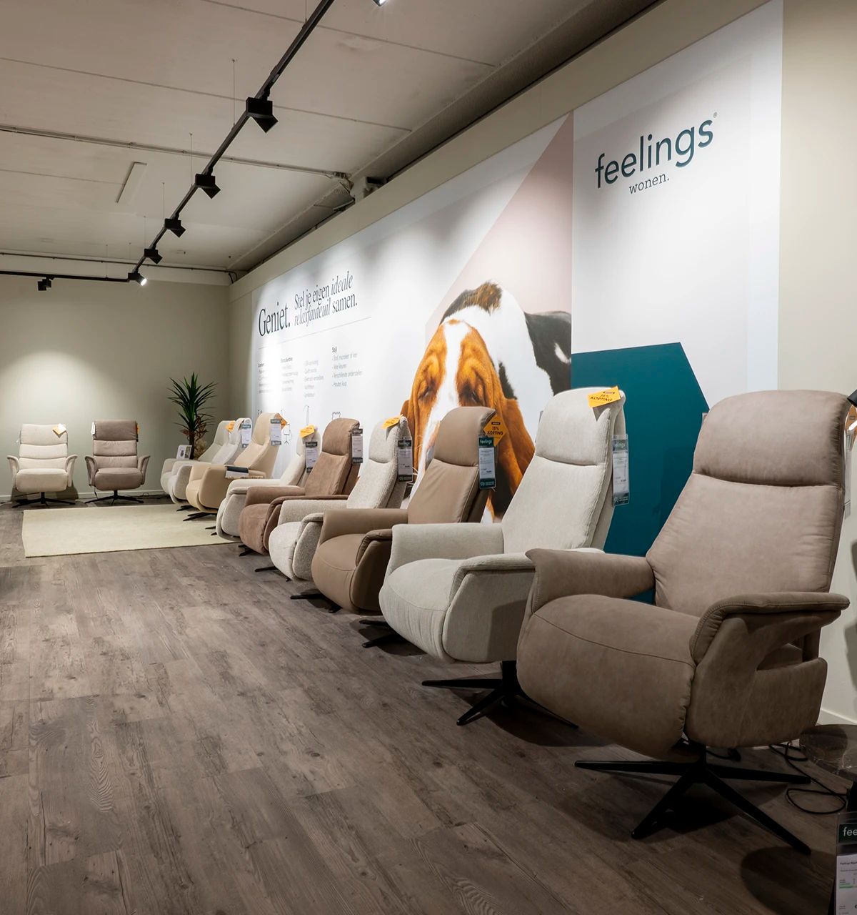 Ontdek relaxfauteuils in onze showroom, kom langs bij Woonboulevard Poortvliet XXL